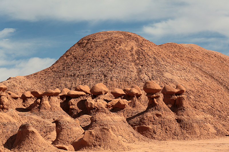 Bison : Antelope Island : Utah : Landscape Photos : Richard Moore : Photographer